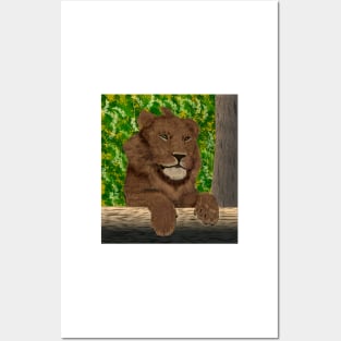 Lion Posters and Art